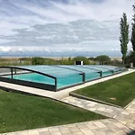 Olive Apartment