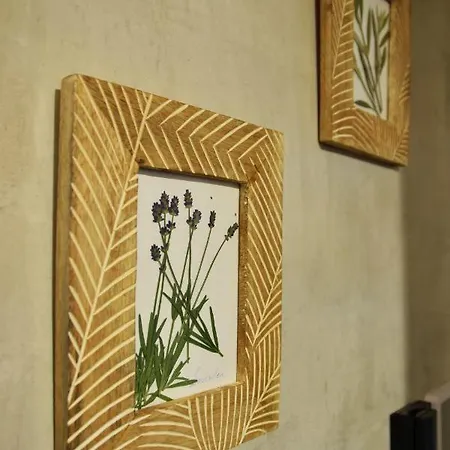 Apartmán Olive